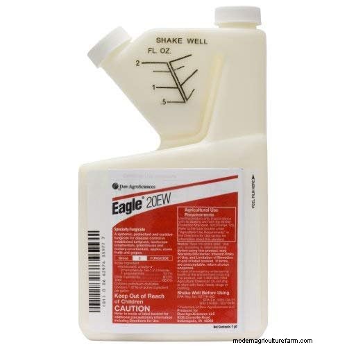 Pear Rust Fungus Treatment: Protect Your Pear Trees