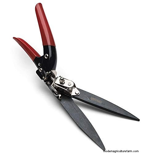 Grass Shears vs. String Trimmers: Which is Best for Lawn Edges?