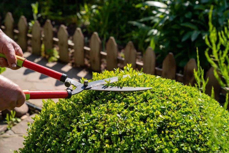 Grass Shears vs. String Trimmers: Which is Best for Lawn Edges?