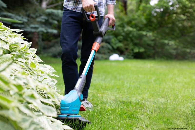Grass Shears vs. String Trimmers: Which is Best for Lawn Edges?