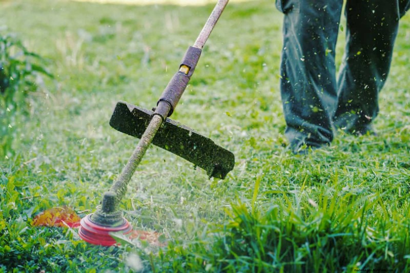 Grass Shears vs. String Trimmers: Which is Best for Lawn Edges?
