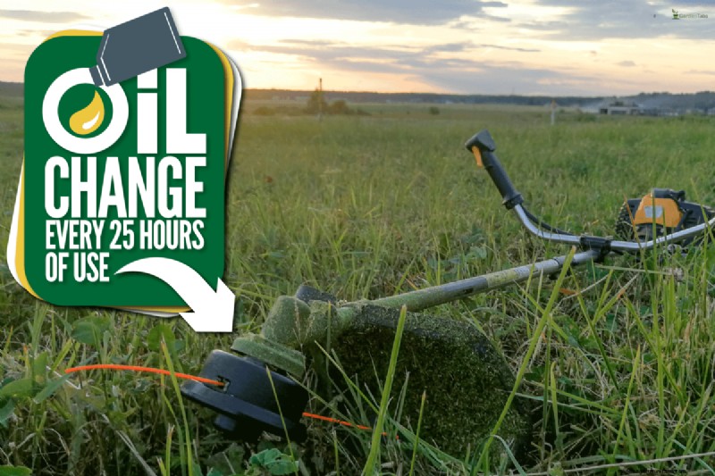 Ryobi 4-Cycle Weed Eater Oil: Choosing the Right Lubricant
