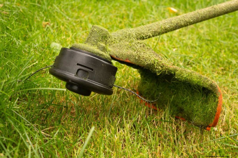 Ryobi 4-Cycle Weed Eater Oil: Choosing the Right Lubricant