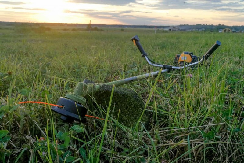 Ryobi 4-Cycle Weed Eater Oil: Choosing the Right Lubricant