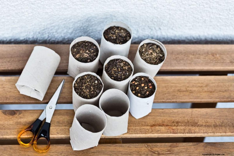 Cardboard in Organic Gardening: Benefits, Safety & How-To
