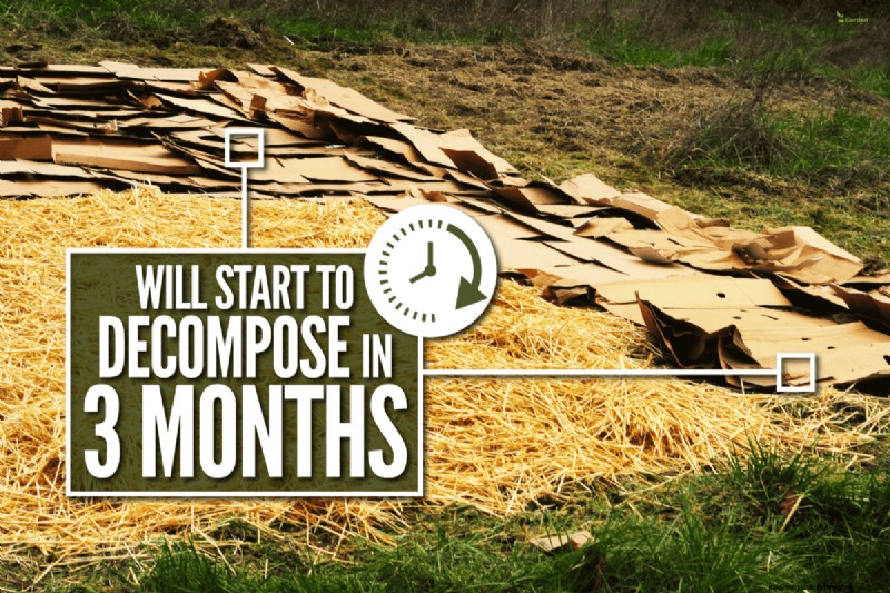Cardboard in Organic Gardening: Benefits, Safety & How-To