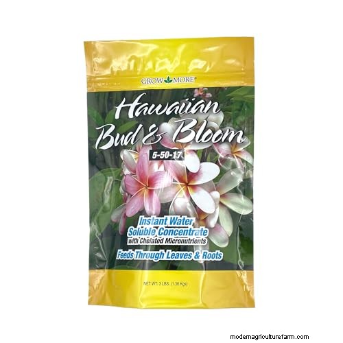 Plumeria Seed Pods: A Complete Guide to Harvesting & Growing