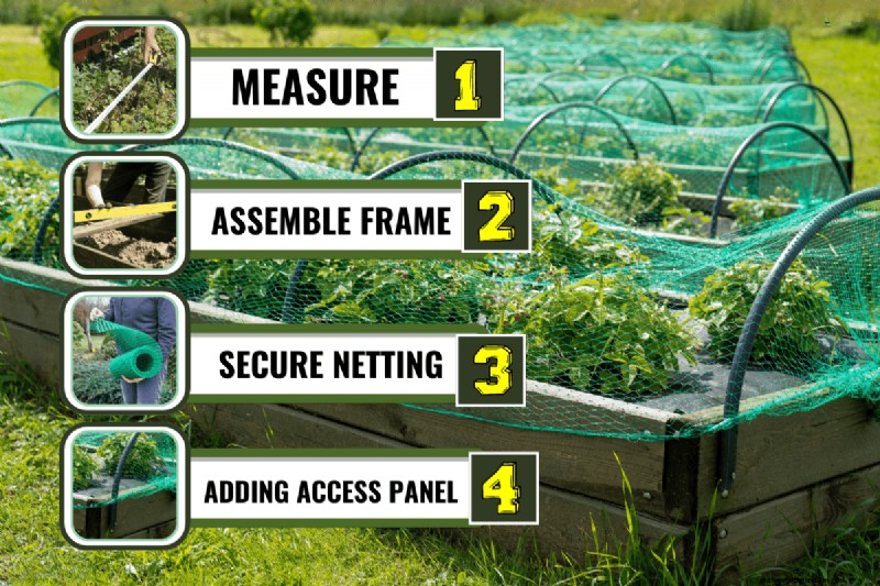 Protecting Birds: How to Prevent Entanglement in Garden Netting