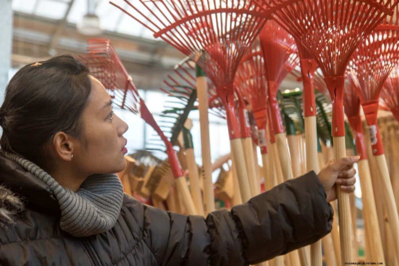 Landscape Rake vs. Leveling Rake: Choosing the Right Tool for Your Garden