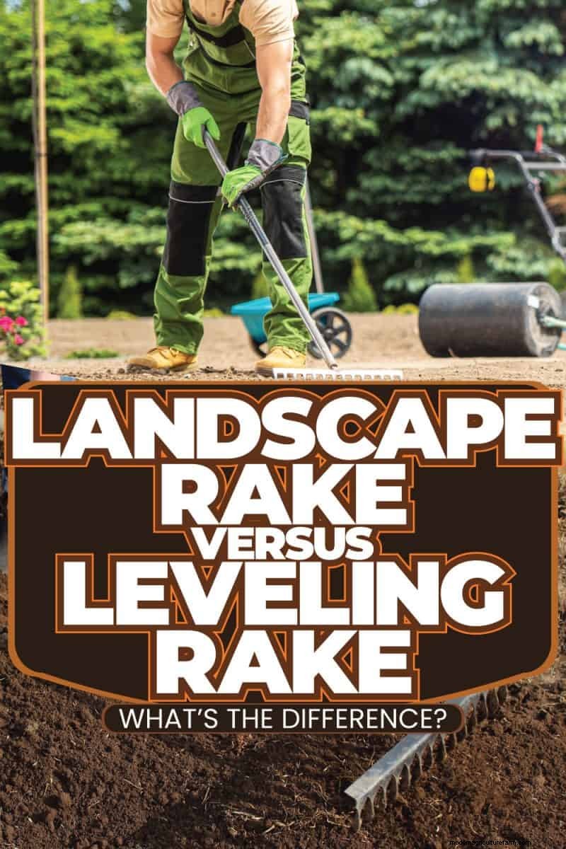 Landscape Rake vs. Leveling Rake: Choosing the Right Tool for Your Garden