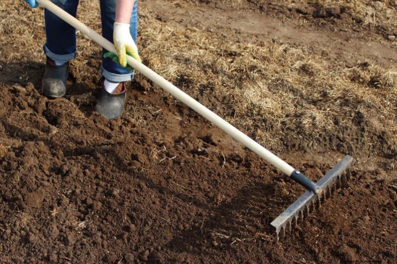 Landscape Rake vs. Leveling Rake: Choosing the Right Tool for Your Garden