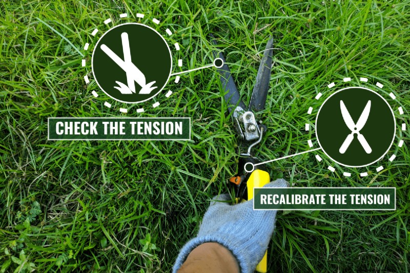 Mastering Grass Shear Adjustment: A Comprehensive Guide