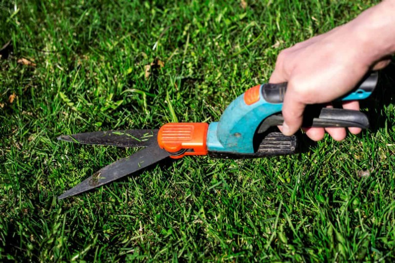 Mastering Grass Shear Adjustment: A Comprehensive Guide