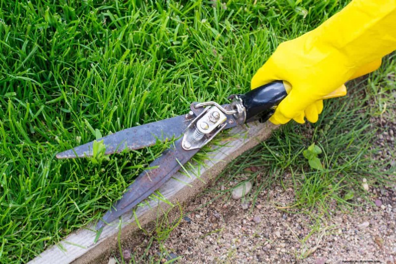 Mastering Grass Shear Adjustment: A Comprehensive Guide