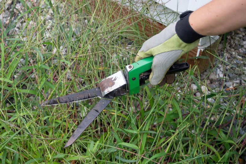Mastering Grass Shear Adjustment: A Comprehensive Guide