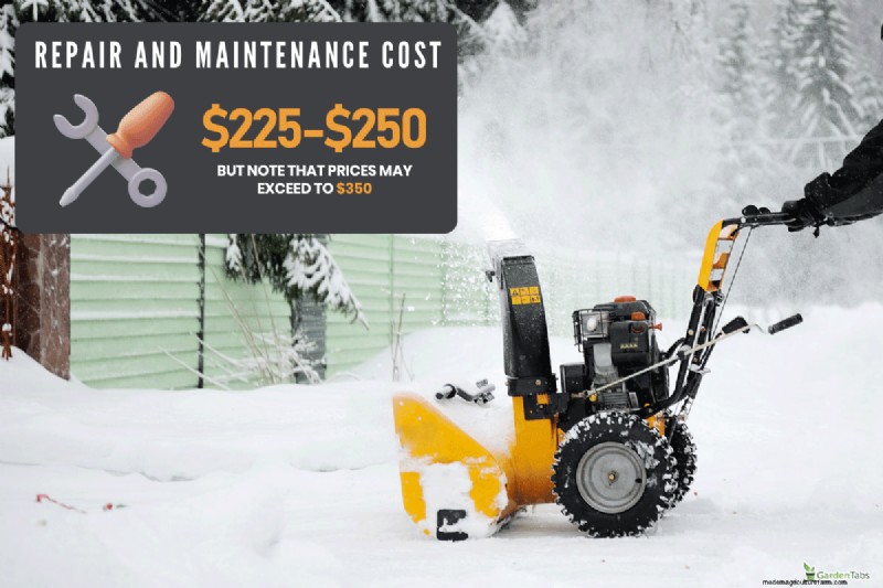 Troubleshooting: Cub Cadet Snow Blower Won t Start After Storage