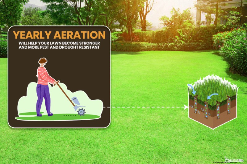 Aerator Not Pulling Plugs? Causes & Troubleshooting