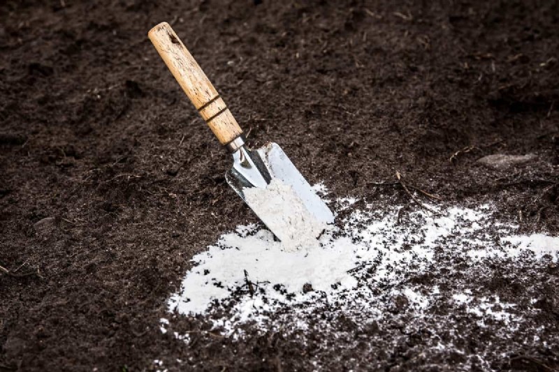 Garden Lime vs. Hydrated Lime vs. Agricultural Lime: A Comprehensive Comparison