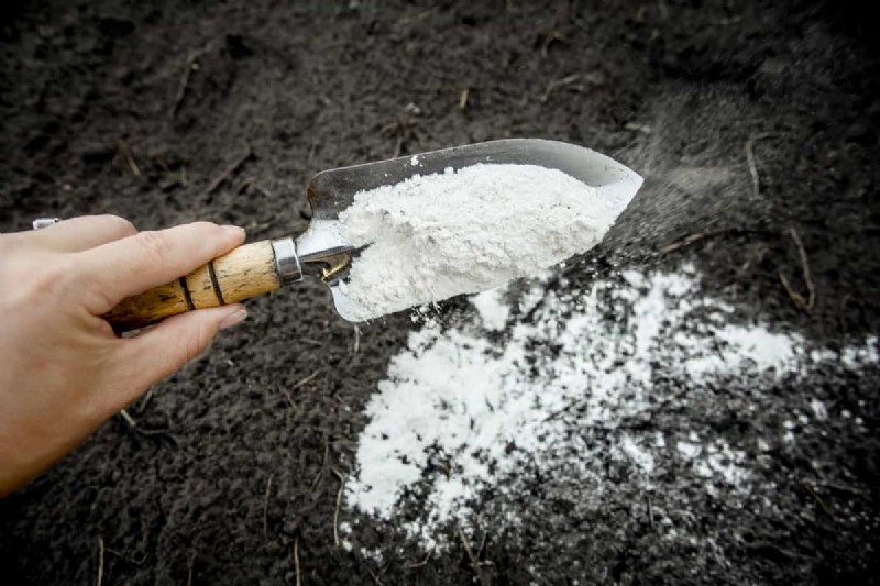 Garden Lime vs. Hydrated Lime vs. Agricultural Lime: A Comprehensive Comparison