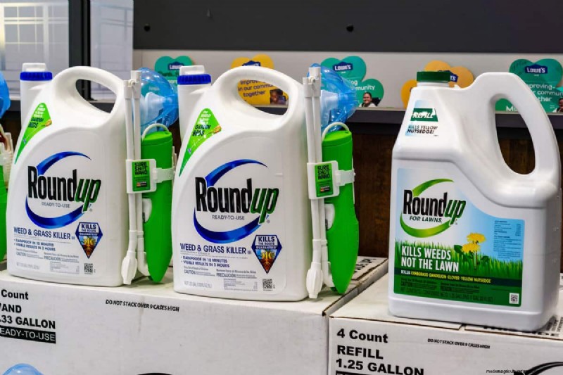 Roundup vs. Nutsedge: Does Roundup Effectively Kill This Weed?