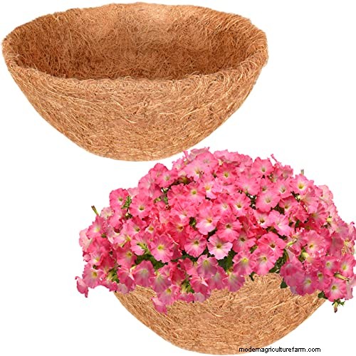 Why Hanging Baskets Don t Hold Water: Causes & Solutions