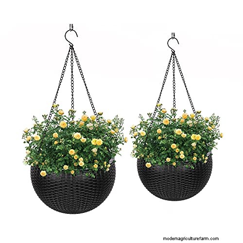 Why Hanging Baskets Don t Hold Water: Causes & Solutions