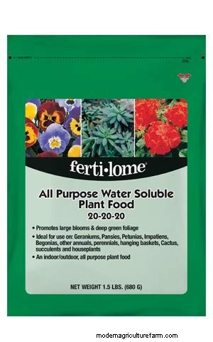 Why Hanging Baskets Don t Hold Water: Causes & Solutions