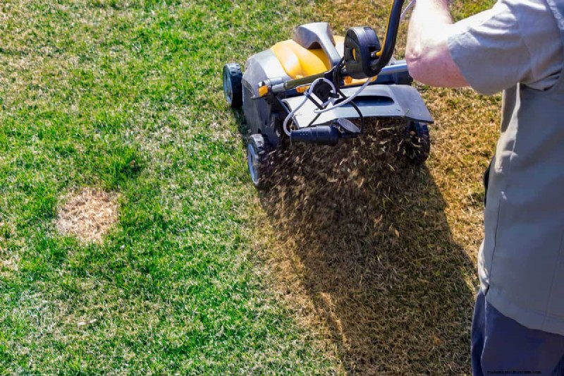 Lawn Aerator Clogging: Causes, Solutions & Prevention