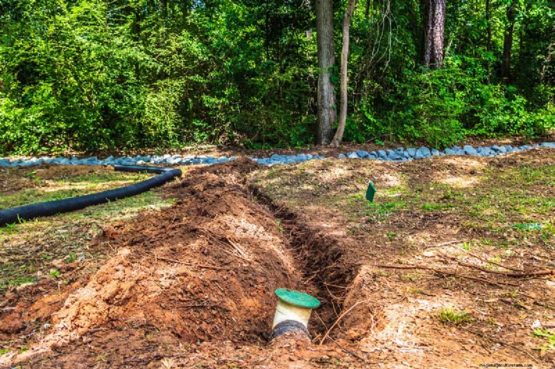 Soggy vs. Moist Soil: Understanding the Difference for Healthy Plants