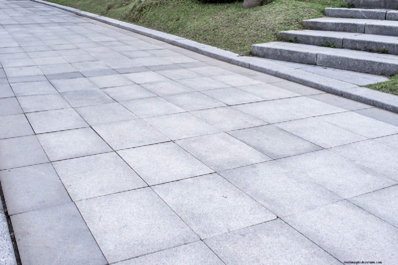Paver Base vs. Gravel vs. Crushed Stone: Choosing the Right Hardscape Material
