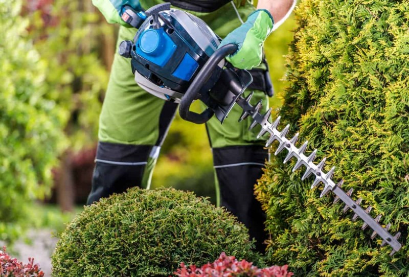 Hedge Trimmer Lubrication: A Comprehensive Step-by-Step Guide