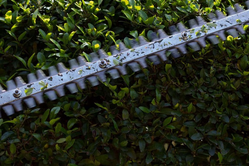 Hedge Trimmer Lubrication: A Comprehensive Step-by-Step Guide
