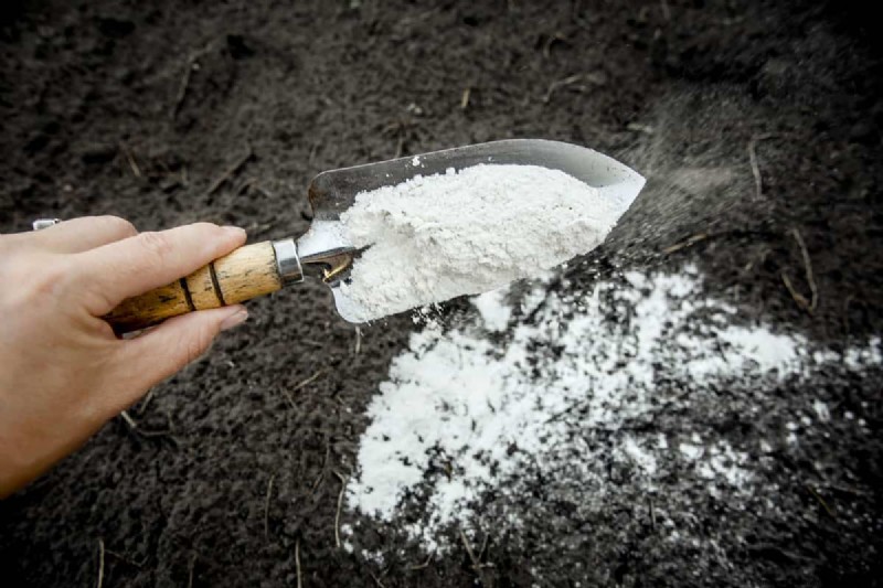 Using a Salt Spreader for Lime: Can It Be Done?