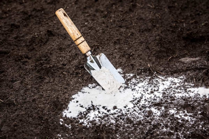 Using a Salt Spreader for Lime: Can It Be Done?
