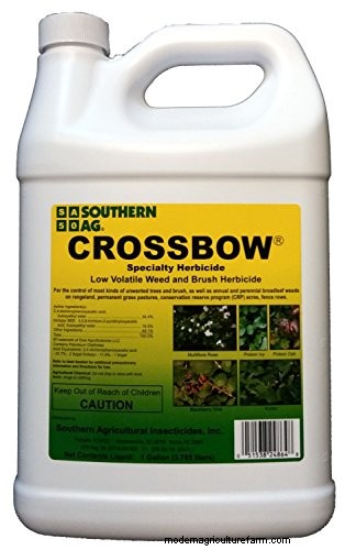 Black-Eyed Susan: Is It Invasive? | Gardening Know How