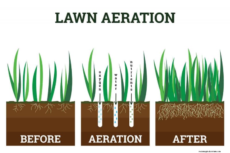 Rent Lawn Aerators at Lowe s: Availability & How To
