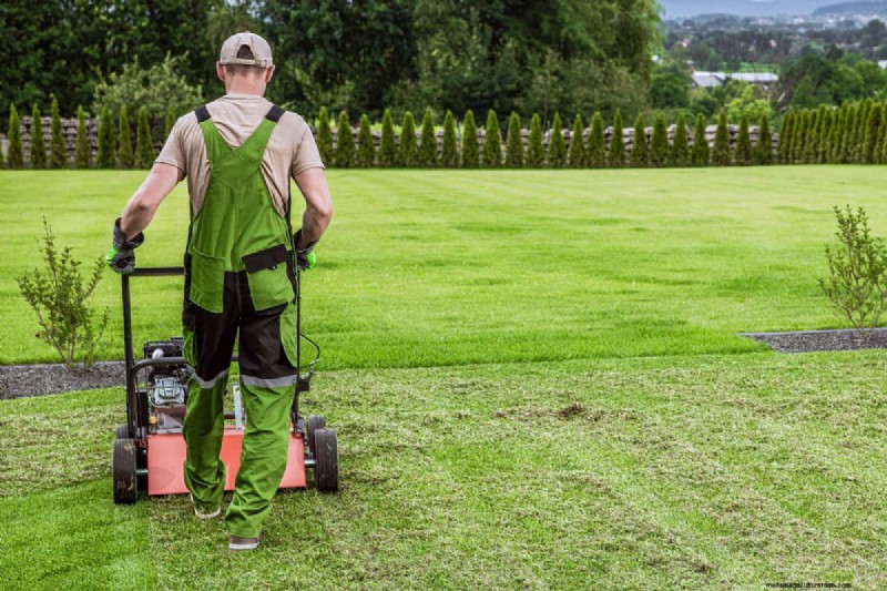 Rent Lawn Aerators at Lowe s: Availability & How To