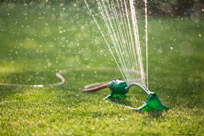 Rent Lawn Aerators at Lowe s: Availability & How To
