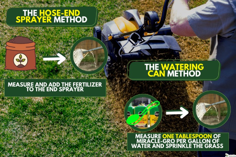 Rent Lawn Aerators at Lowe s: Availability & How To