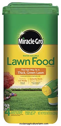 Rent Lawn Aerators at Lowe s: Availability & How To
