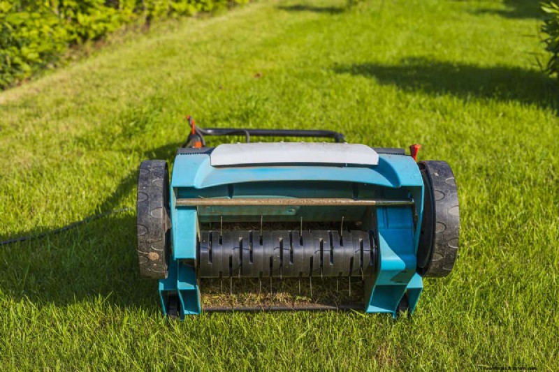 Rent Lawn Aerators at Lowe s: Availability & How To