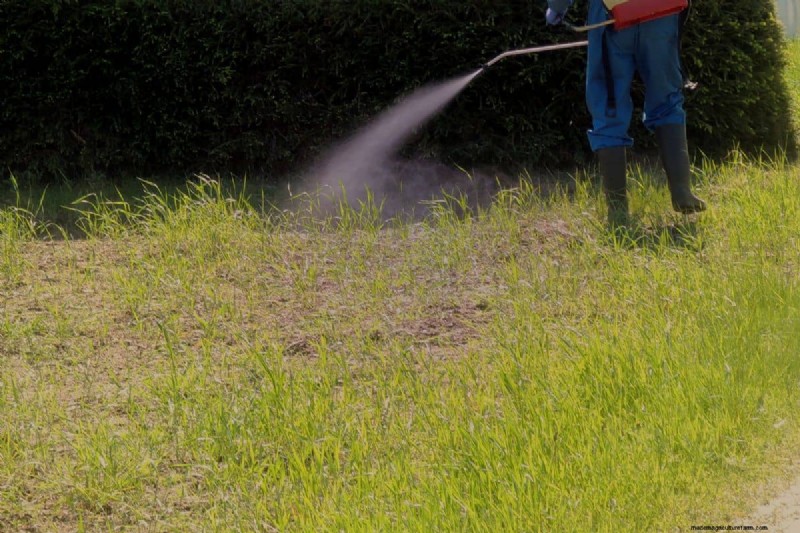 Roundup Wand Battery Replacement: A Simple Step-by-Step Guide