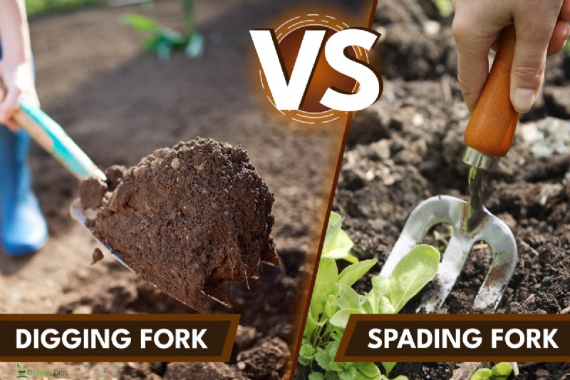 Spading Fork vs. Digging Fork: Choosing the Right Tool for Your Garden