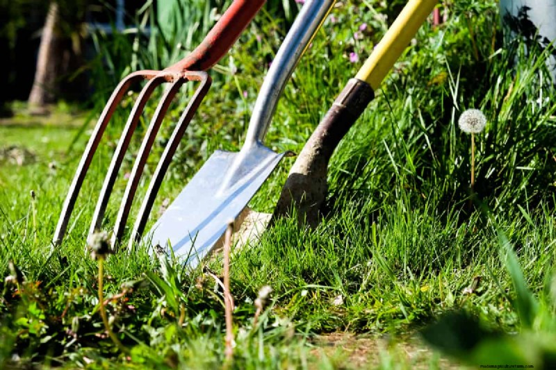Spading Fork vs. Digging Fork: Choosing the Right Tool for Your Garden