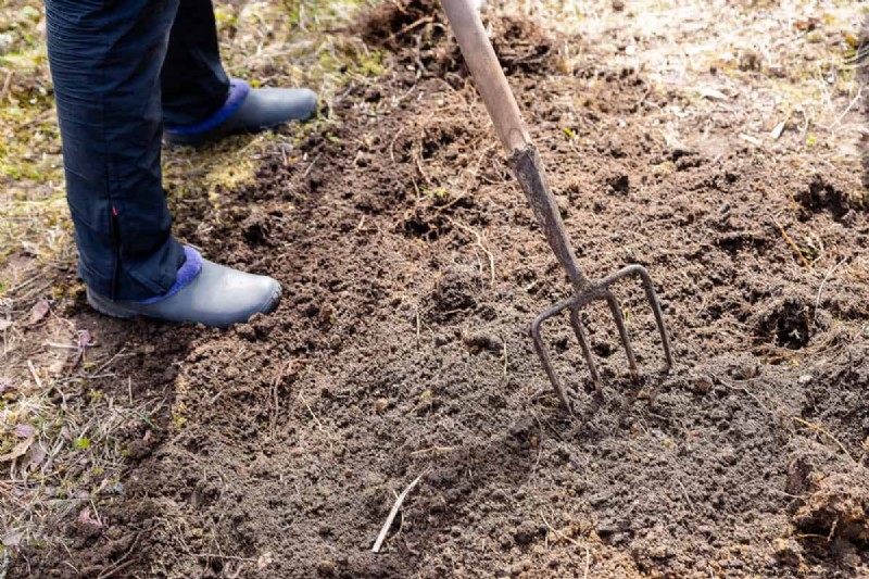 Spading Fork vs. Digging Fork: Choosing the Right Tool for Your Garden