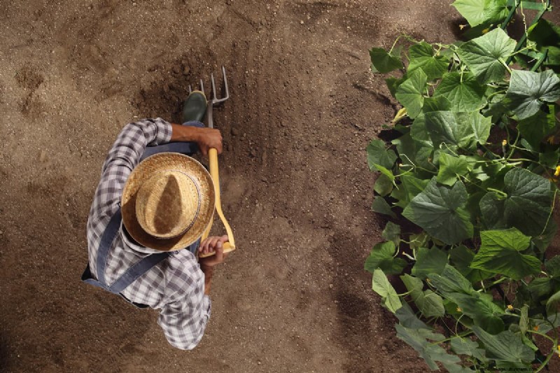 Spading Fork vs. Digging Fork: Choosing the Right Tool for Your Garden