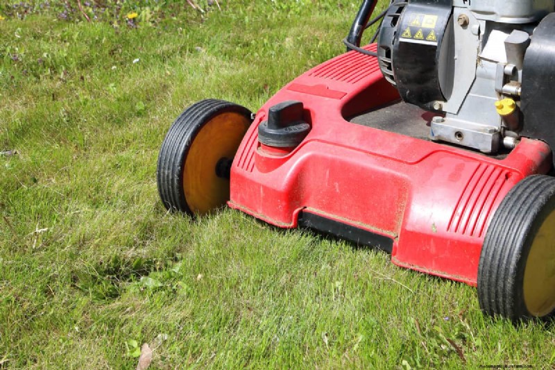 Greenworks Electric Dethatcher: A Complete Guide to Operation