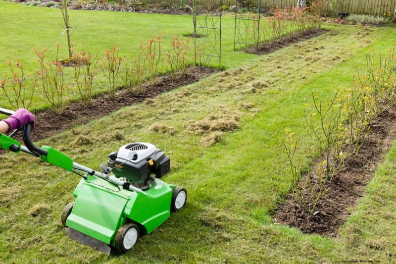 Greenworks Electric Dethatcher: A Complete Guide to Operation
