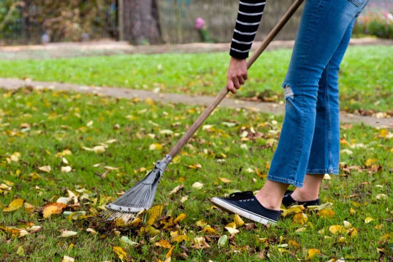 Harley Rake vs. Rockhound: Choosing the Right Lawn Rake