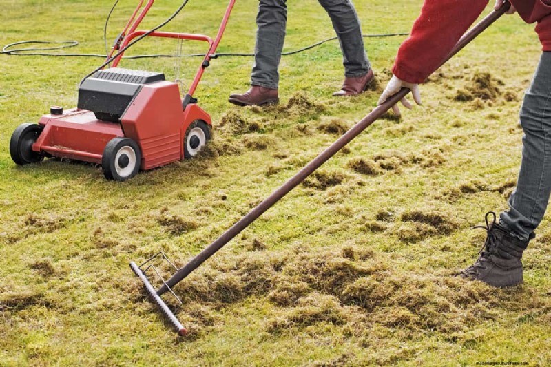 Harley Rake vs. Rockhound: Choosing the Right Lawn Rake